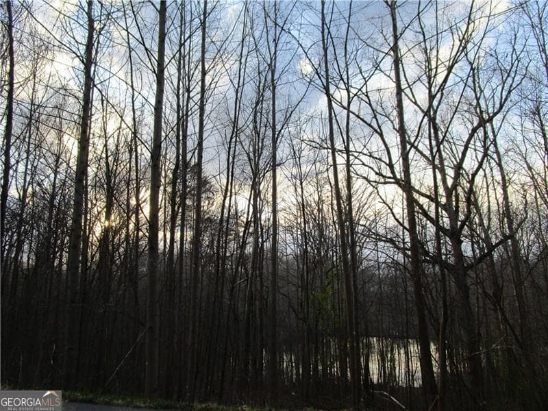 residential lot for sale at LOT 49 Long Mountain Trail, Cleveland, GA 30528 — photo 6