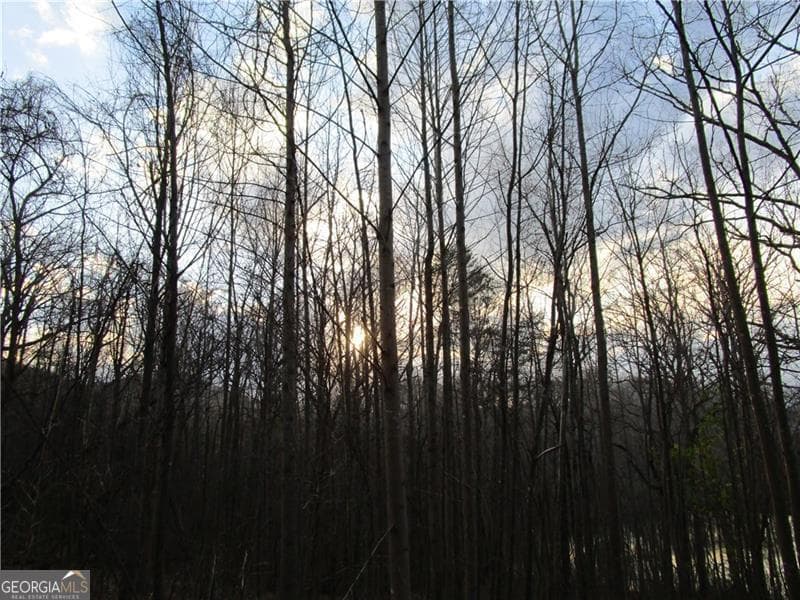 residential lot for sale at LOT 49 Long Mountain Trail, Cleveland, GA 30528 — photo 7