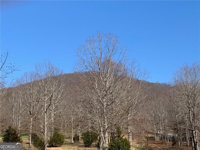 residential lot for sale at LOT 49 Long Mountain Trail, Cleveland, GA 30528 — photo 3