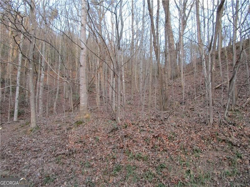 residential lot for sale at LOT 49 Long Mountain Trail, Cleveland, GA 30528 — photo 5