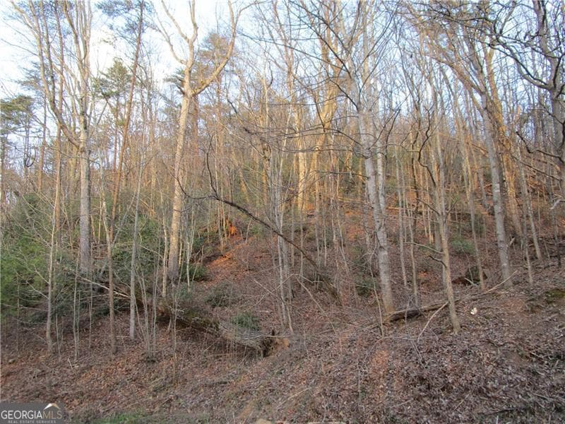 residential lot for sale at LOT 49 Long Mountain Trail, Cleveland, GA 30528 — photo 4