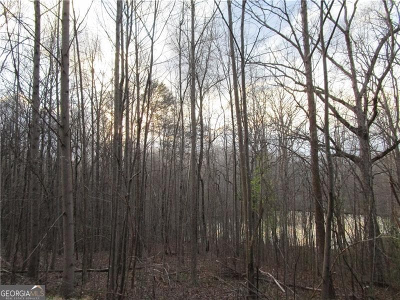 residential lot for sale at LOT 49 Long Mountain Trail, Cleveland, GA 30528 — photo 8