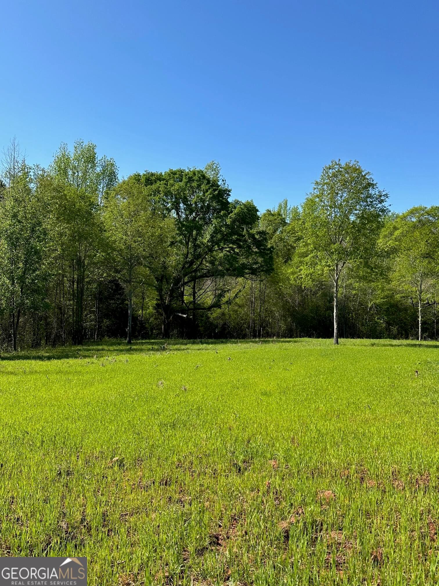 agriculture for sale at 0 W Road, Concord, GA 30206 — photo 2