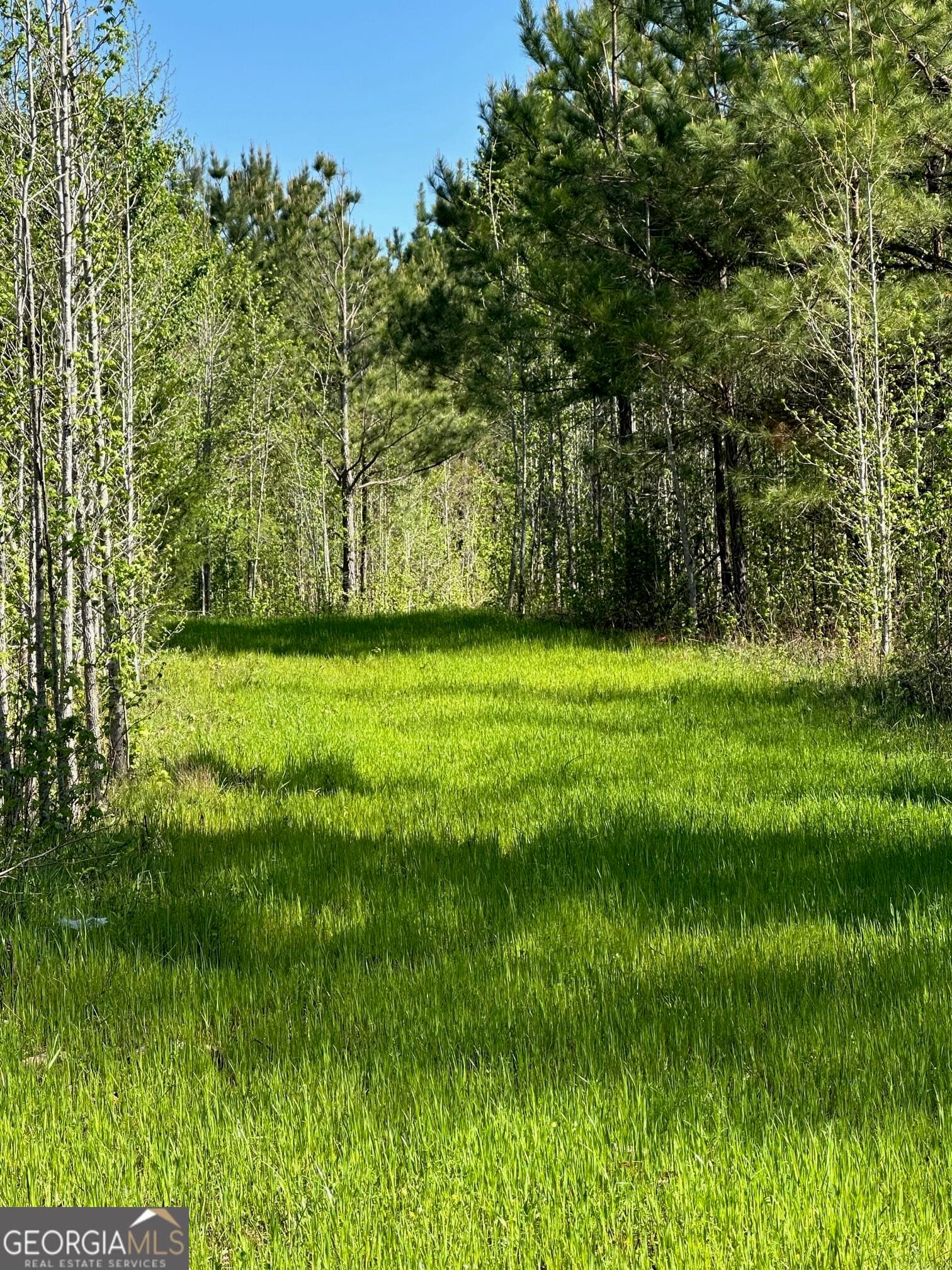 agriculture for sale at 0 W Road, Concord, GA 30206 — photo 3