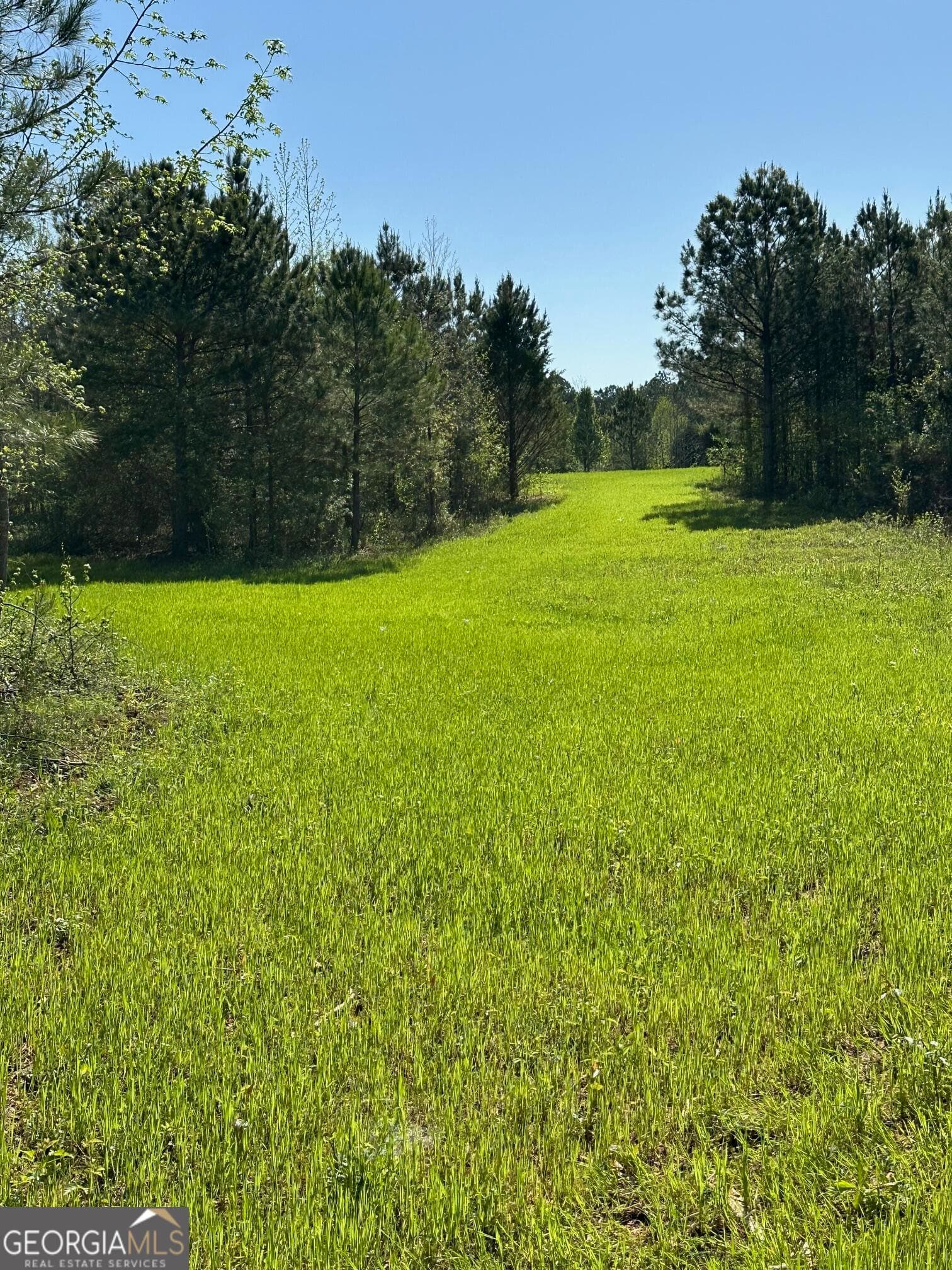 agriculture for sale at 0 W Road, Concord, GA 30206 — photo 5