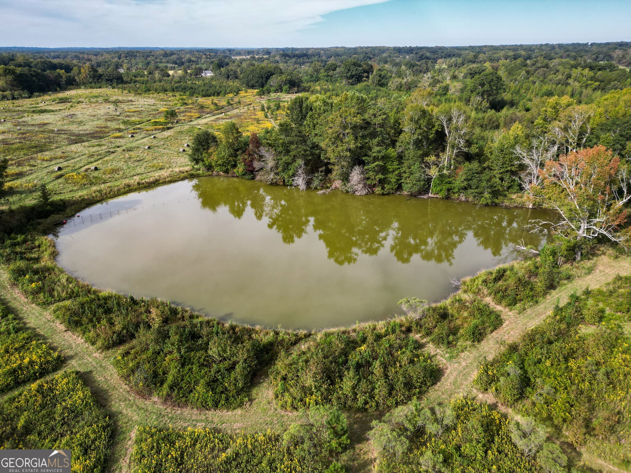 agriculture for sale at 0 Pierce Road, Waverly Hall, GA 31831 — photo 2