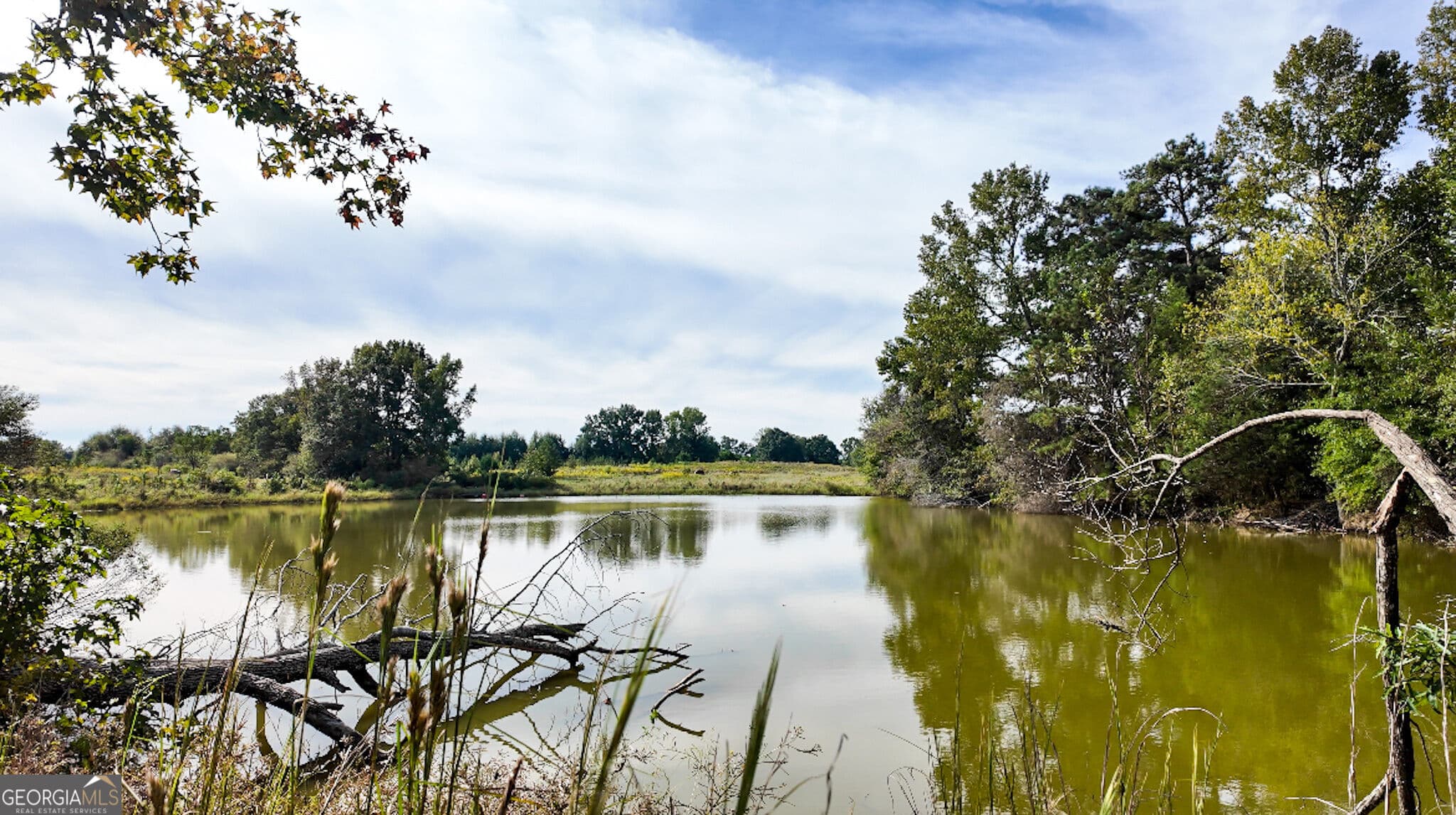 agriculture for sale at 0 Pierce Road, Waverly Hall, GA 31831 — photo 6