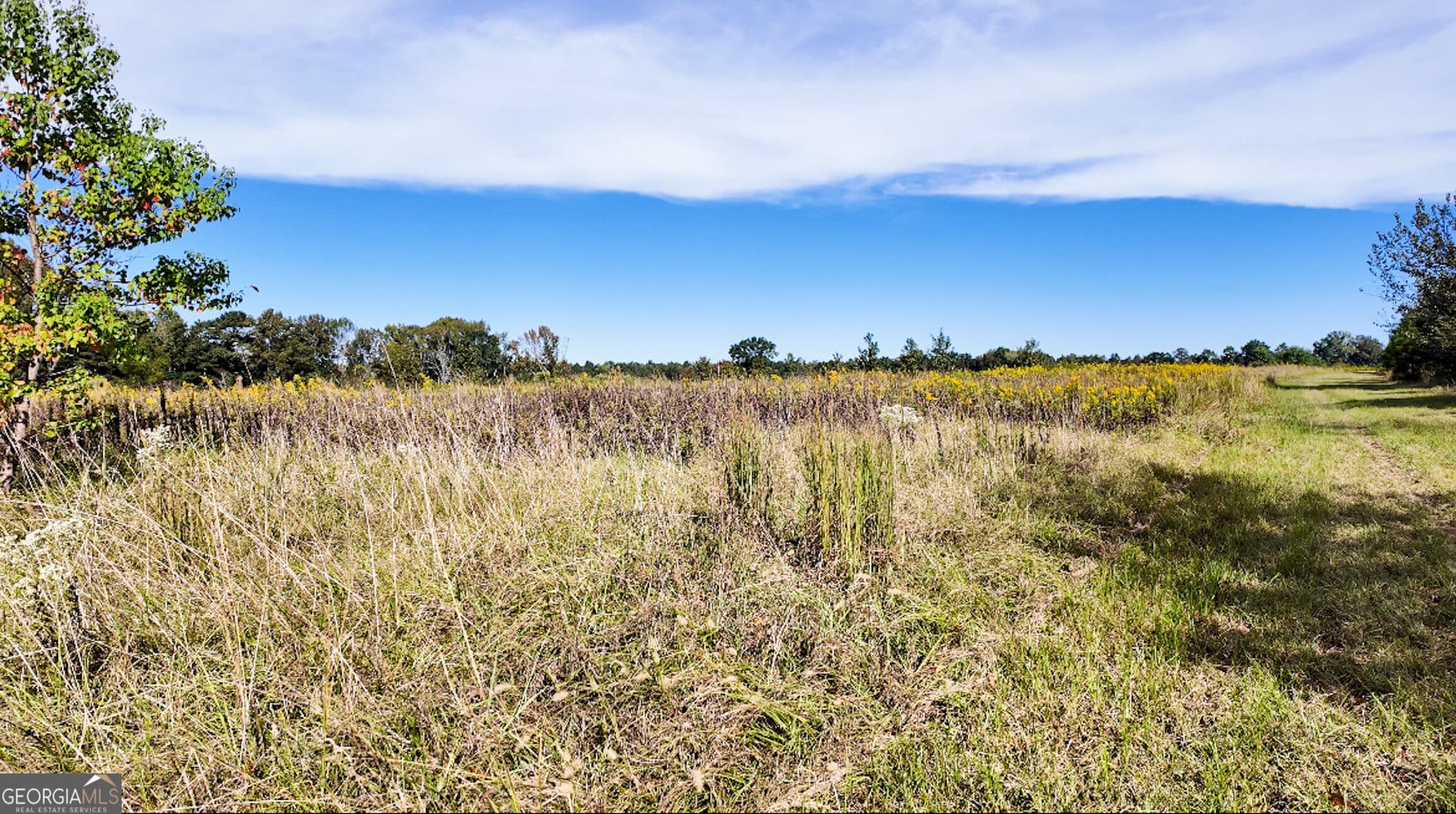 agriculture for sale at 0 Pierce Road, Waverly Hall, GA 31831 — photo 7