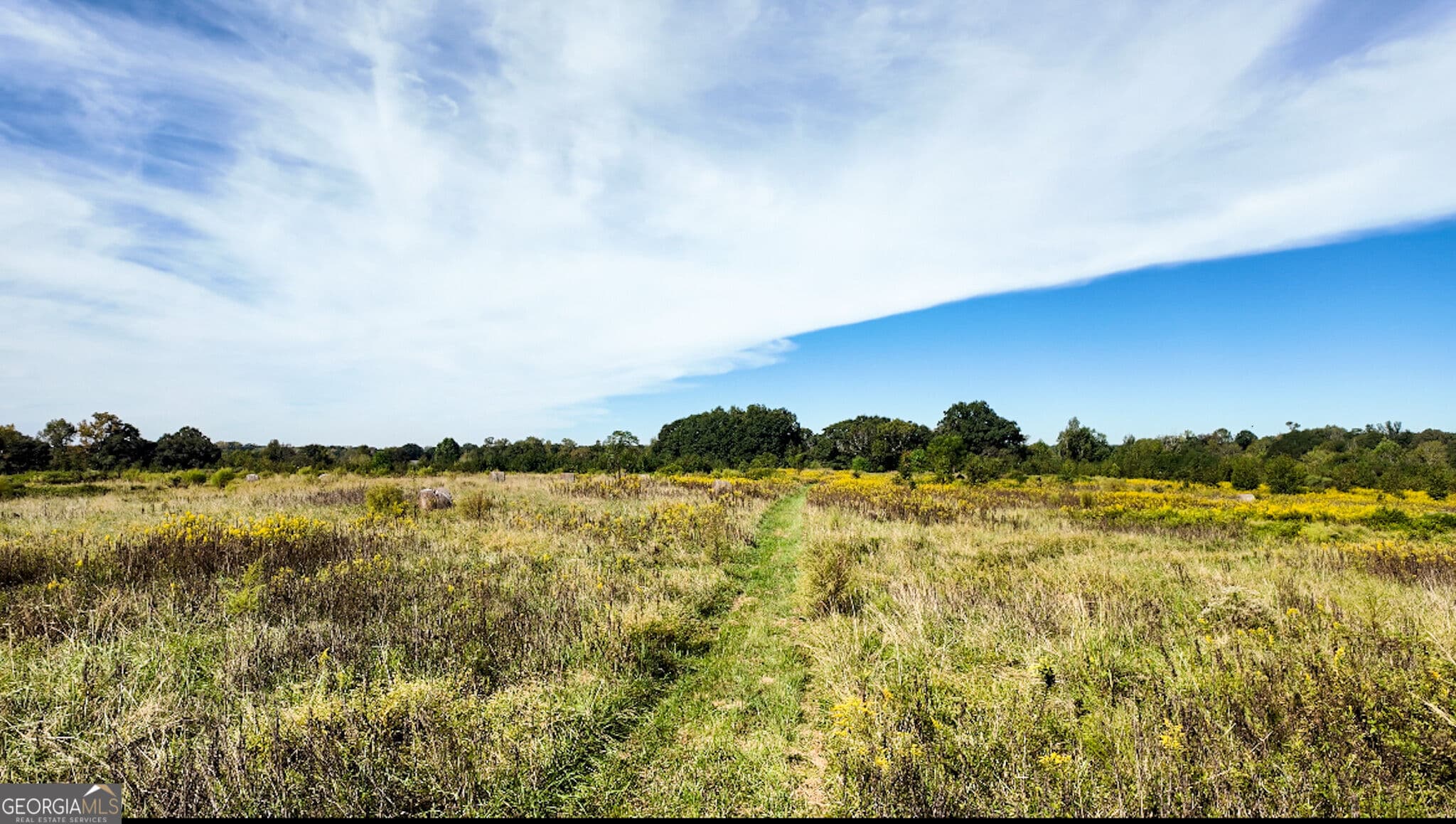 agriculture for sale at 0 Pierce Road, Waverly Hall, GA 31831 — photo 3