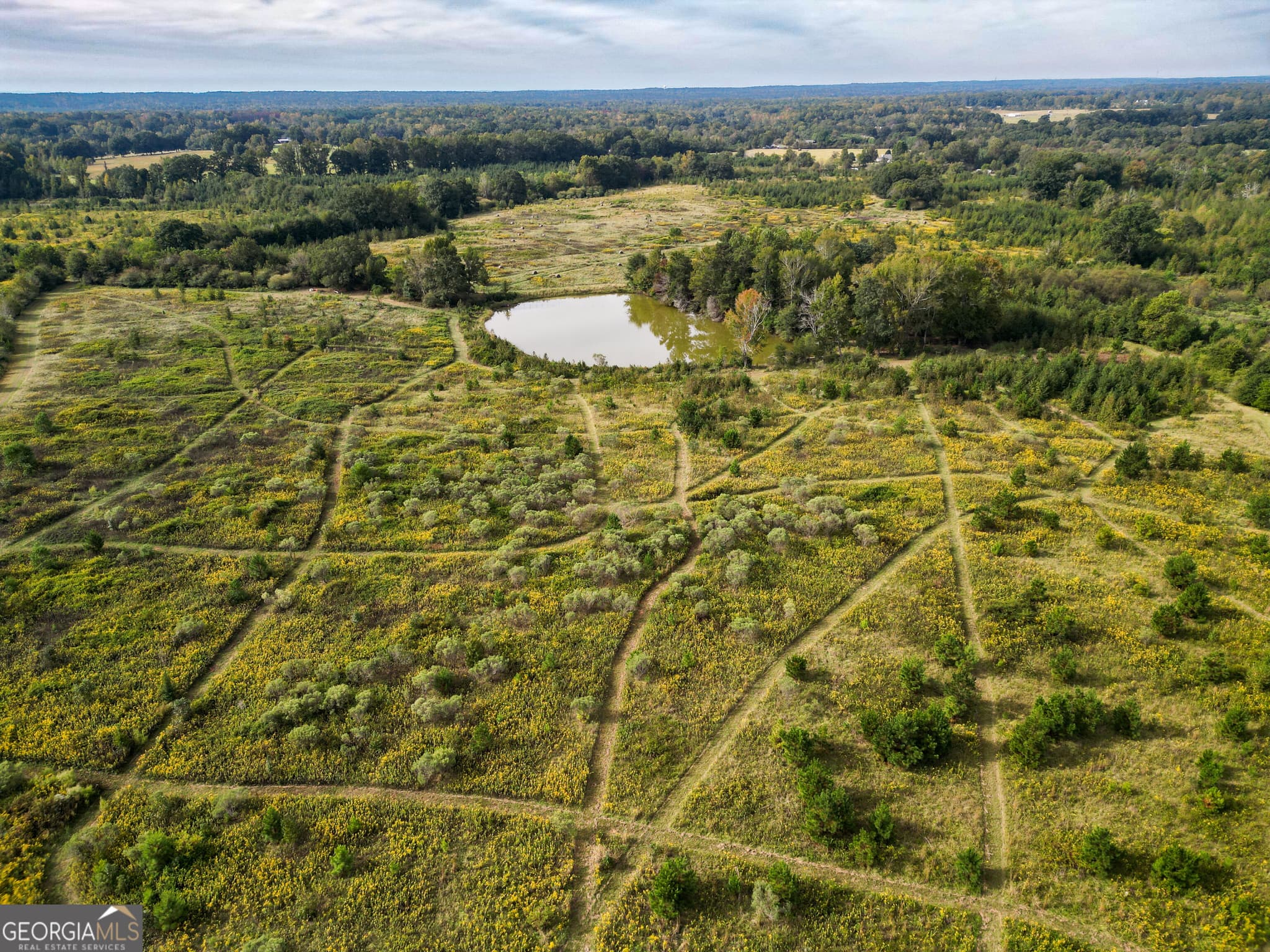 agriculture for sale at 0 Pierce Road, Waverly Hall, GA 31831