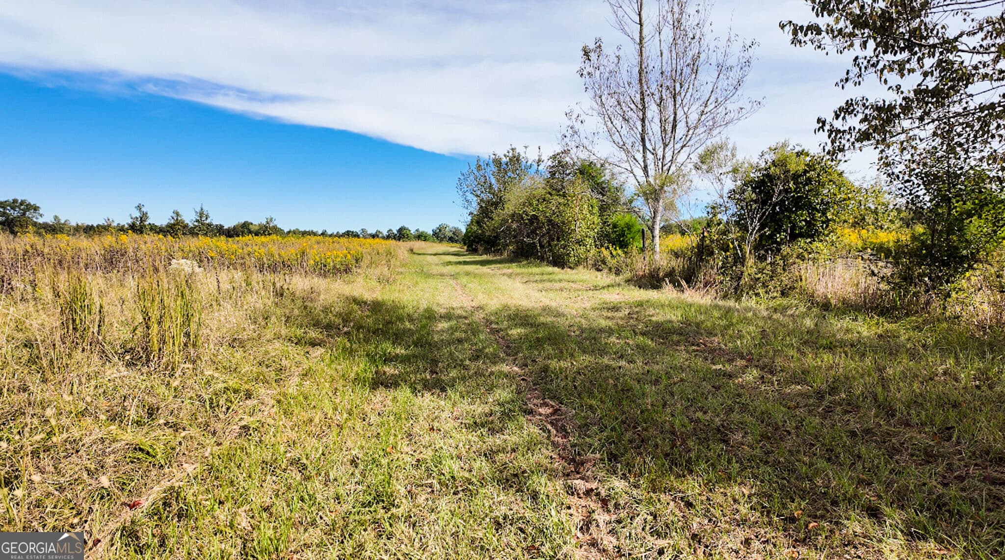 agriculture for sale at 0 Pierce Road, Waverly Hall, GA 31831 — photo 5