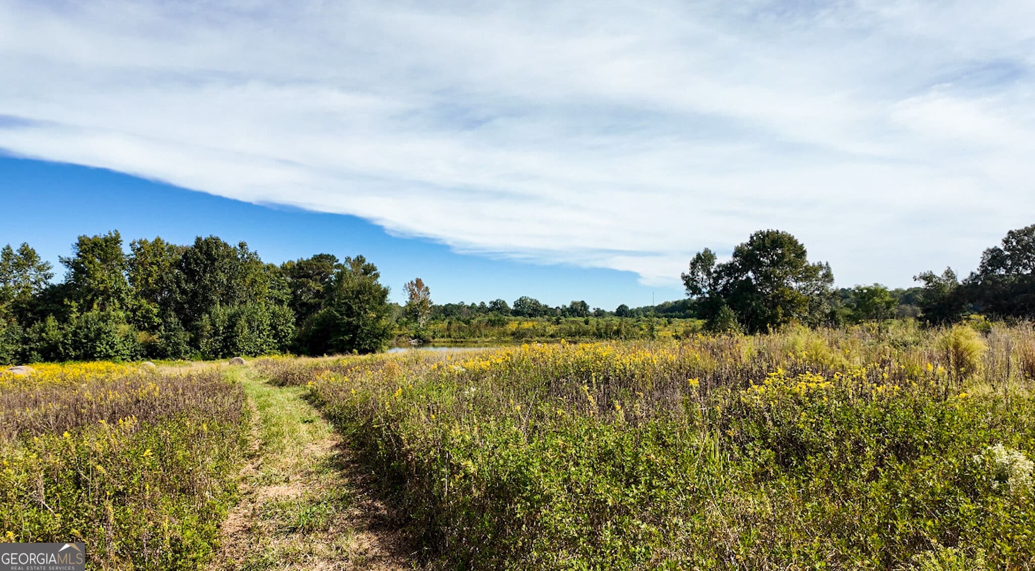 agriculture for sale at 0 Pierce Road, Waverly Hall, GA 31831 — photo 9