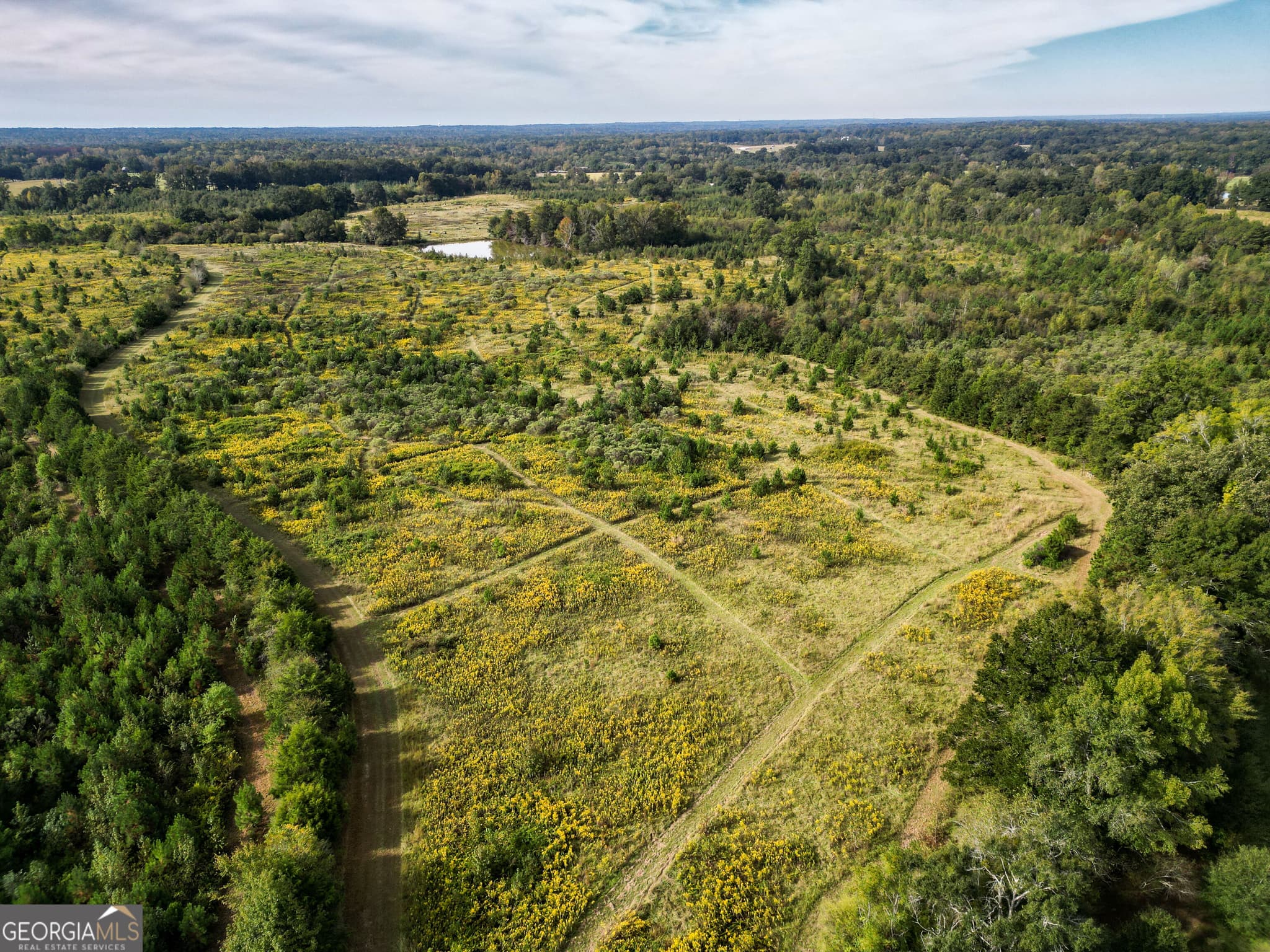 agriculture for sale at 0 Pierce Road, Waverly Hall, GA 31831 — photo 10
