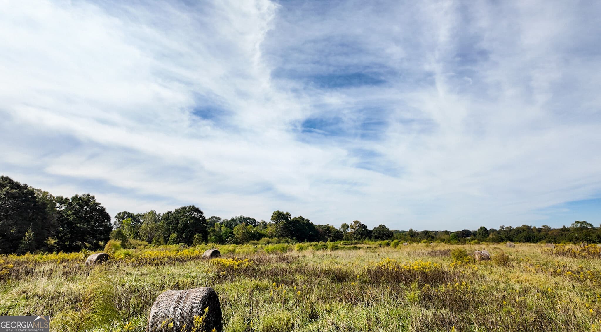 agriculture for sale at 0 Pierce Road, Waverly Hall, GA 31831 — photo 4