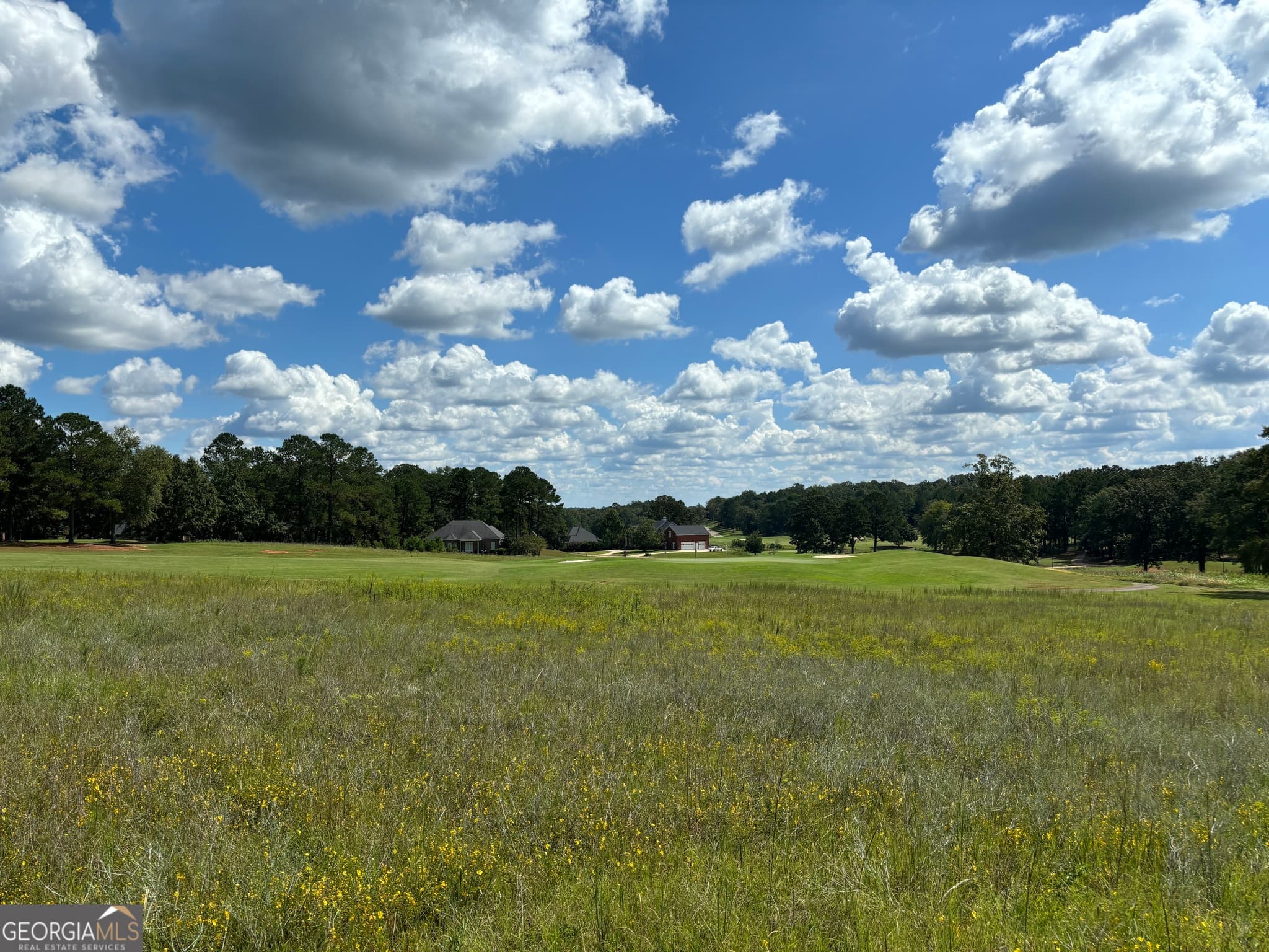 residential lot for sale at LOT 16 BLOCK B Camden Way, Hawkinsville, GA 31036 — photo 1 of 1