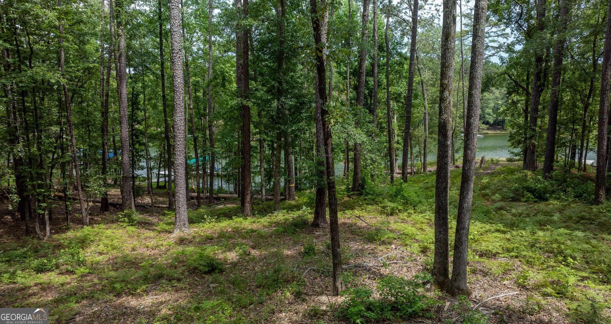 residential lot for sale at 1020 Stoneridge Circle, White Plains, GA 30678 — photo 6