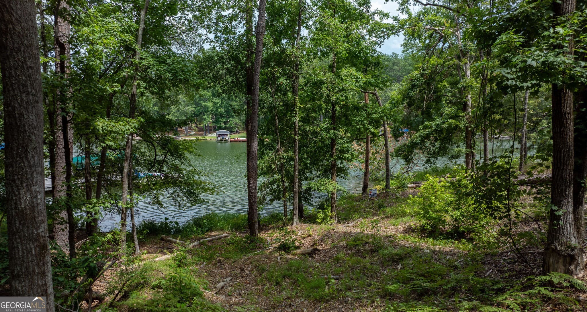 residential lot for sale at 1020 Stoneridge Circle, White Plains, GA 30678 — photo 7