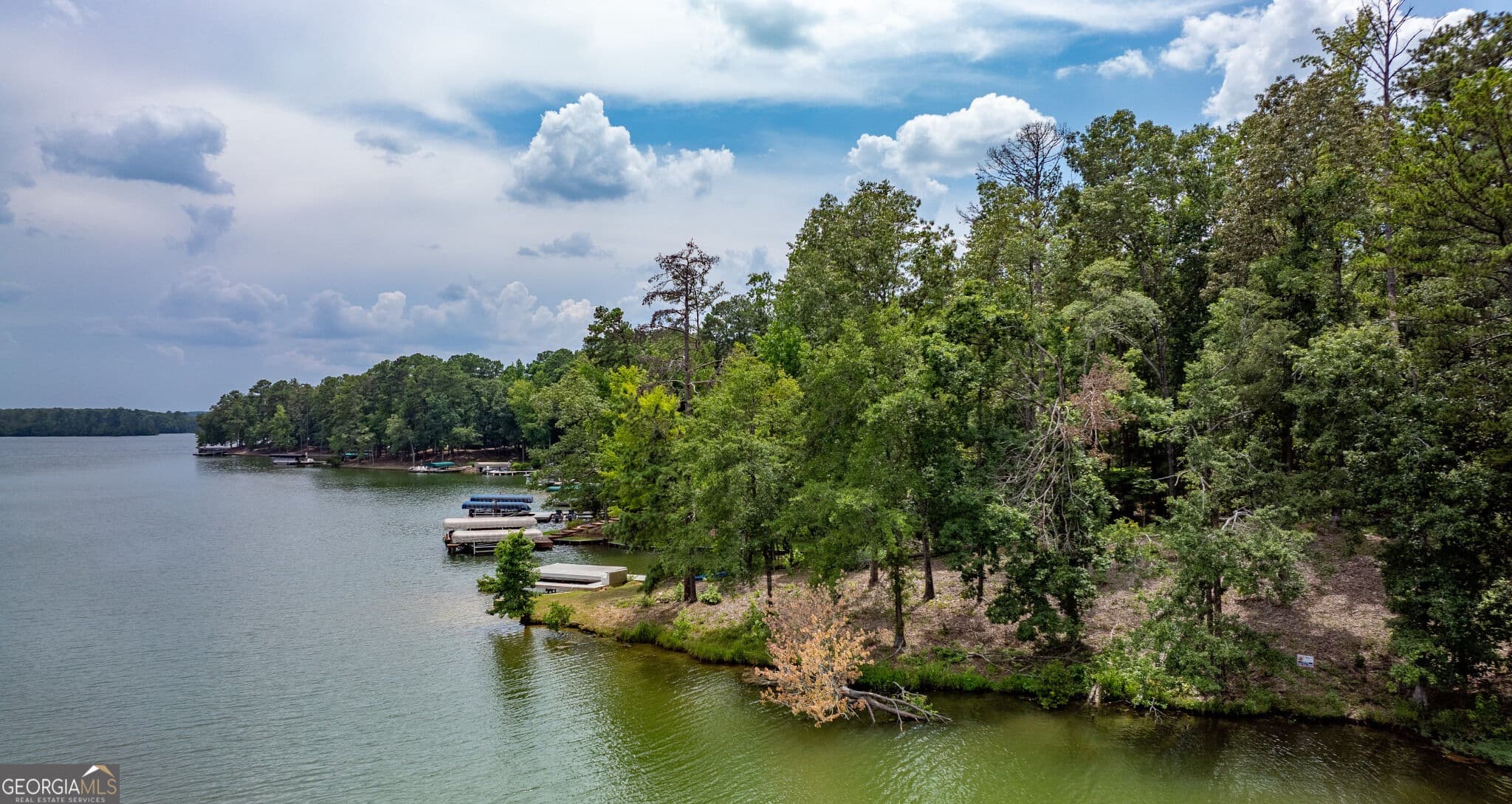 residential lot for sale at 1020 Stoneridge Circle, White Plains, GA 30678 — photo 9