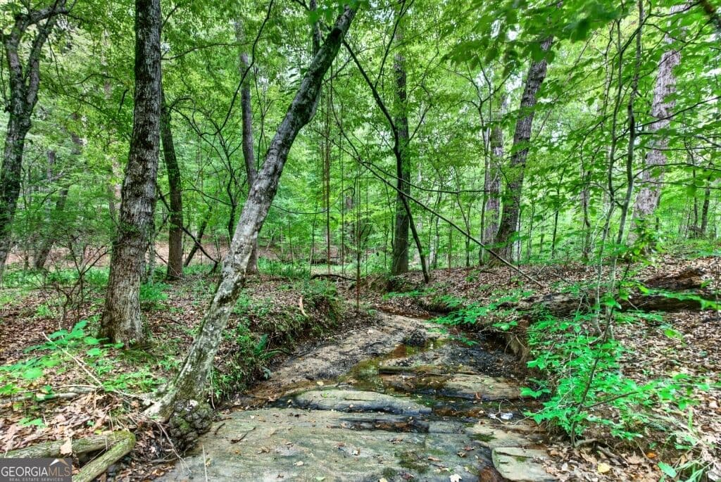 unimproved land for sale at 0 Highway 42, Forsyth, GA 31029 — photo 6