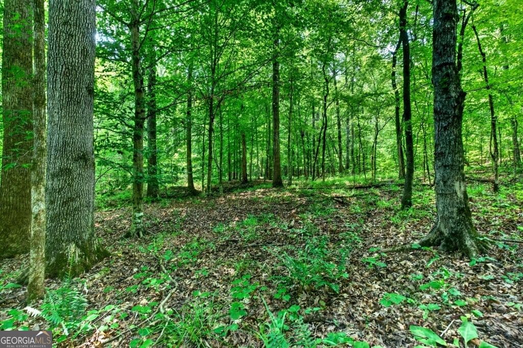 unimproved land for sale at 0 Highway 42, Forsyth, GA 31029 — photo 7