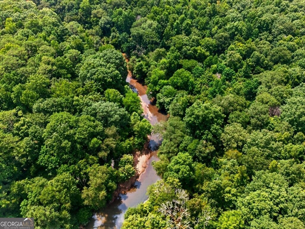 unimproved land for sale at 0 Highway 42, Forsyth, GA 31029 — photo 3