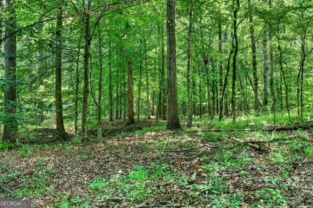 unimproved land for sale at 0 Highway 42, Forsyth, GA 31029 — photo 5