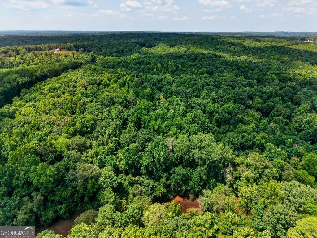 unimproved land for sale at 0 Highway 42, Forsyth, GA 31029 — photo 9