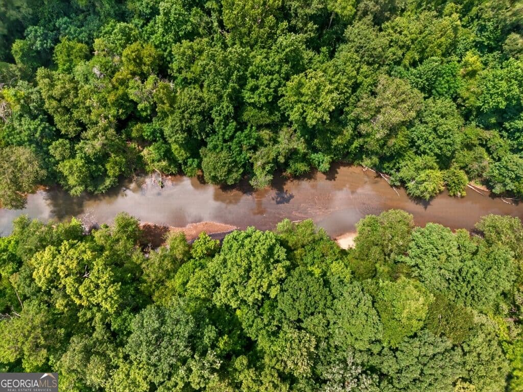 unimproved land for sale at 0 Highway 42, Forsyth, GA 31029 — photo 10