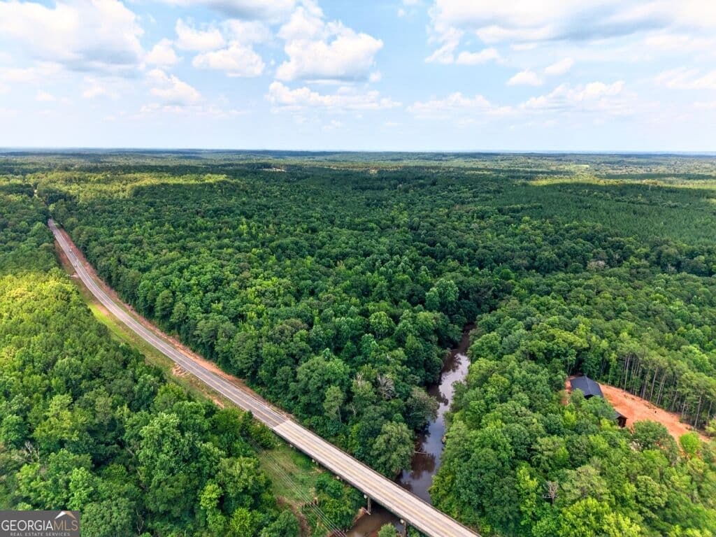 unimproved land for sale at 0 Highway 42, Forsyth, GA 31029 — photo 4