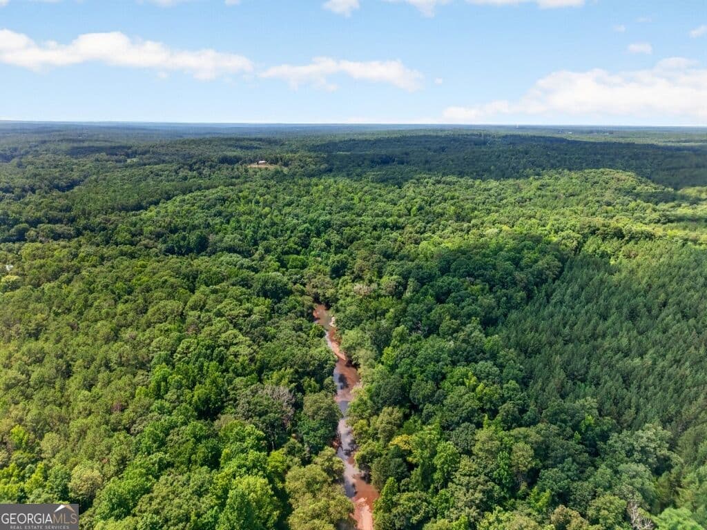 unimproved land for sale at 0 Highway 42, Forsyth, GA 31029 — photo 8