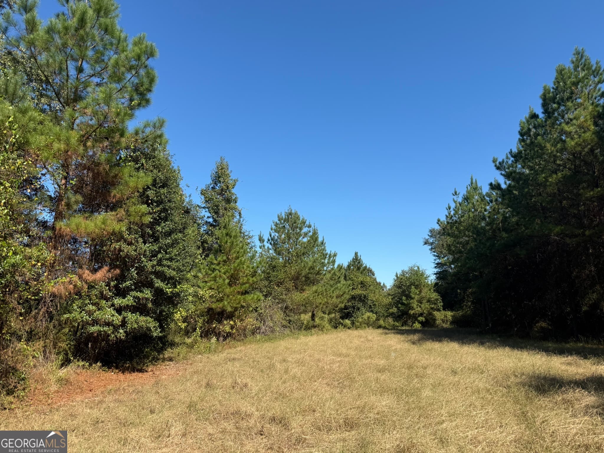 agriculture for sale at 009 Mt Zion Road, Gordon, AL 36343 — photo 6