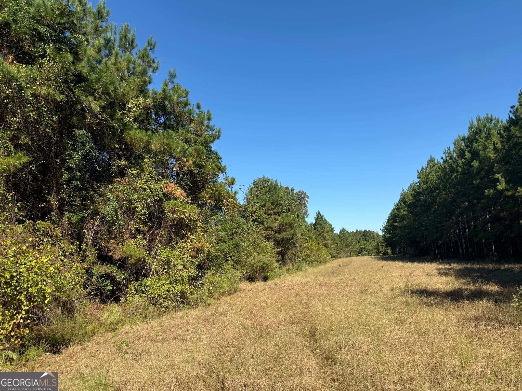 agriculture for sale at 009 Mt Zion Road, Gordon, AL 36343 — photo 3