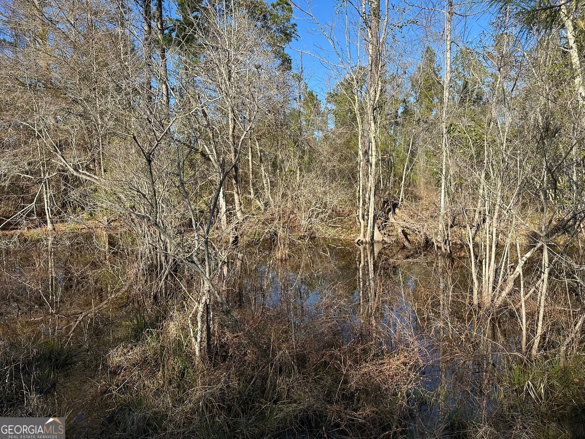 agriculture for sale at 009 Mt Zion Road, Gordon, AL 36343