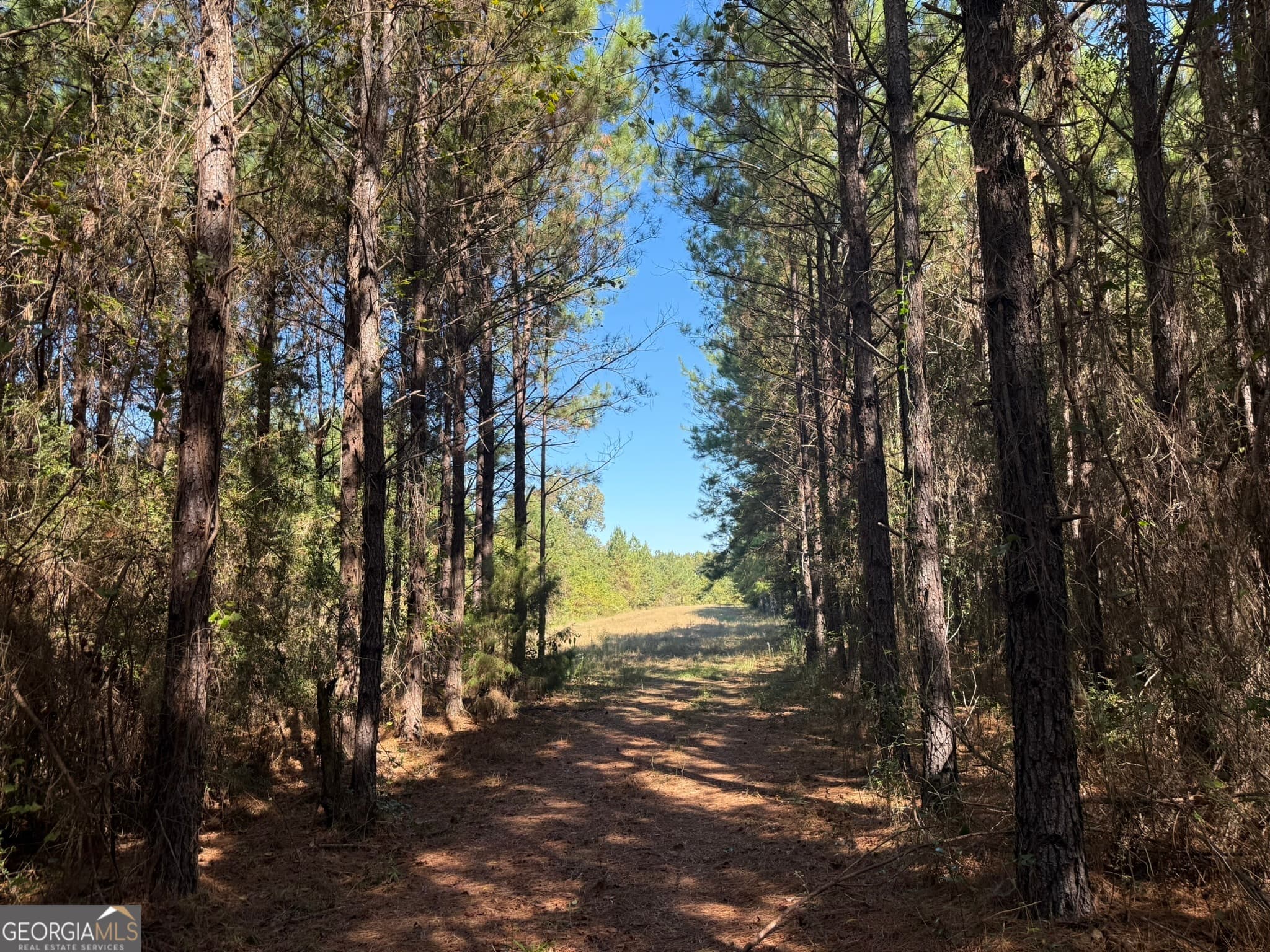 agriculture for sale at 009 Mt Zion Road, Gordon, AL 36343 — photo 10