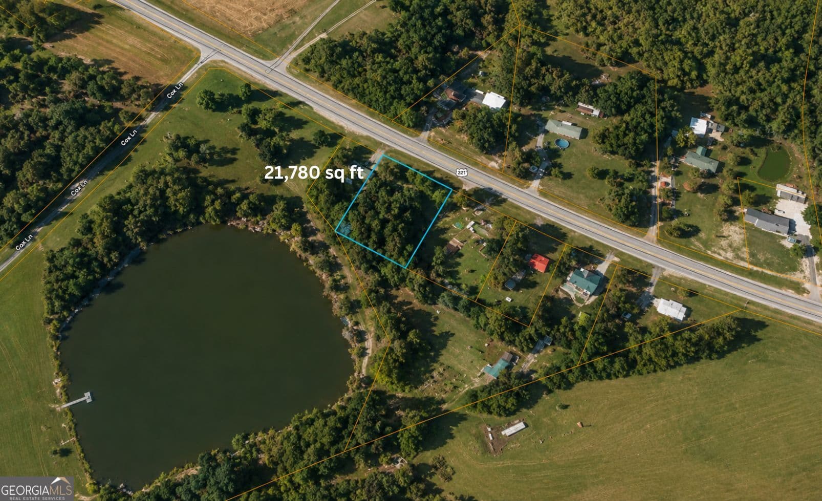residential lot for sale at 1001 Highway 221, Bartow, GA 30413 — photo 2