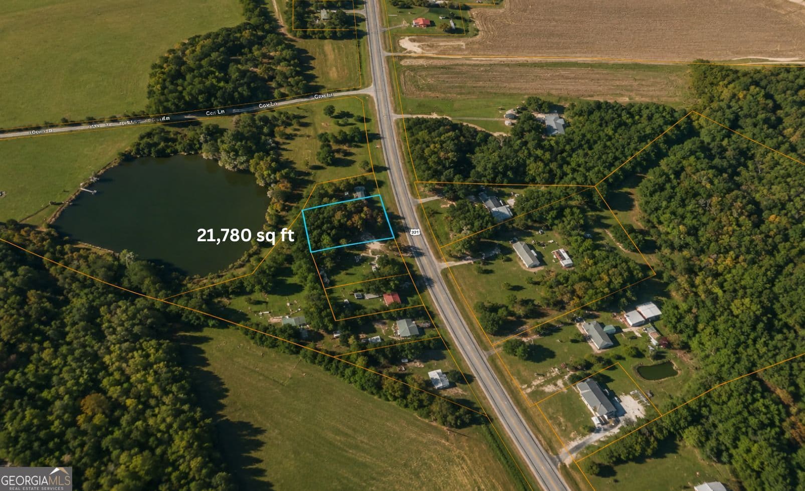 residential lot for sale at 1001 Highway 221, Bartow, GA 30413 — photo 6