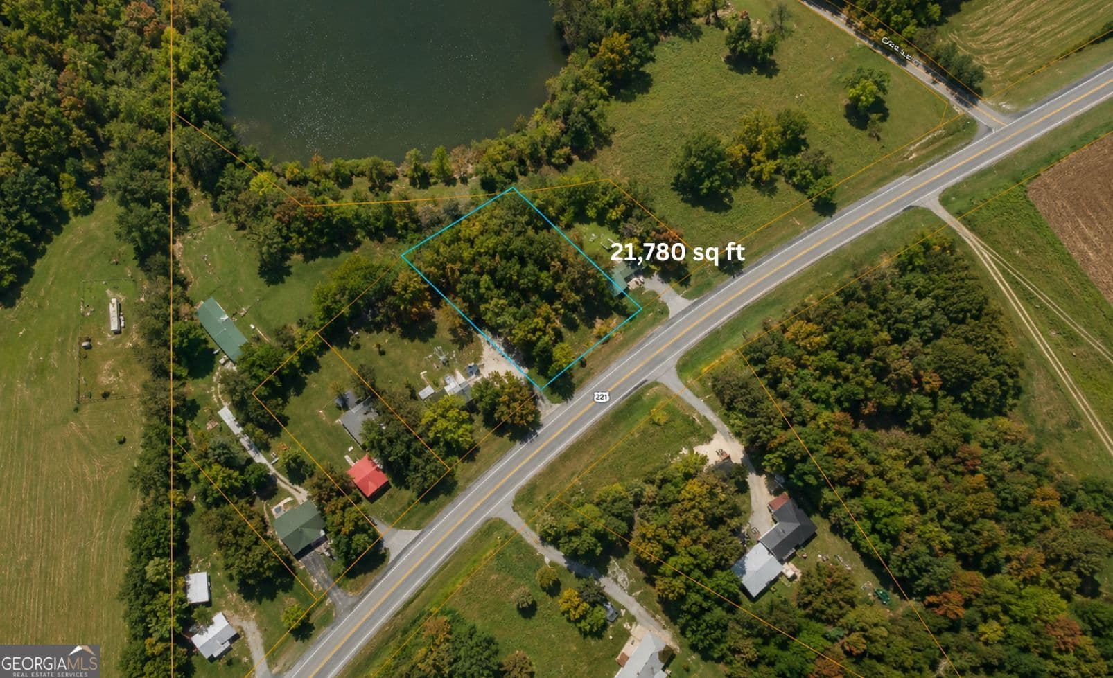 residential lot for sale at 1001 Highway 221, Bartow, GA 30413 — photo 7