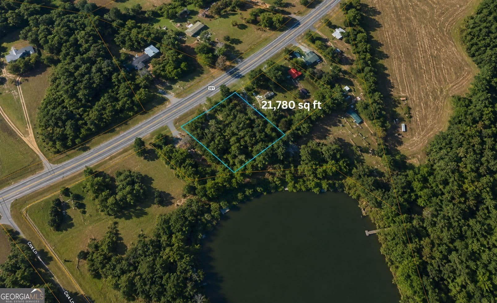 residential lot for sale at 1001 Highway 221, Bartow, GA 30413 — photo 3