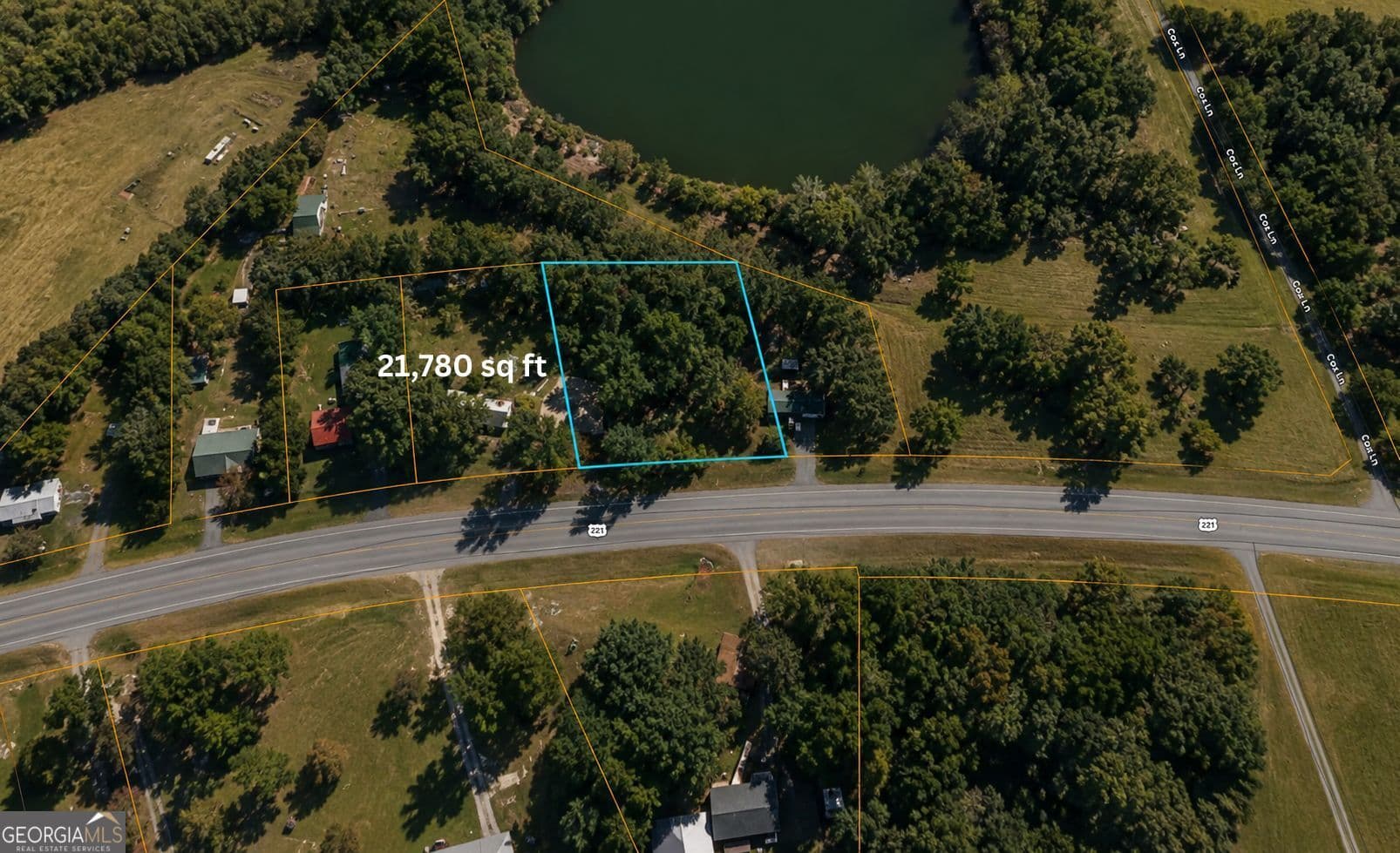 residential lot for sale at 1001 Highway 221, Bartow, GA 30413 — photo 1 of 14