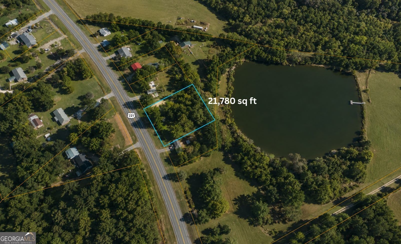 residential lot for sale at 1001 Highway 221, Bartow, GA 30413 — photo 5