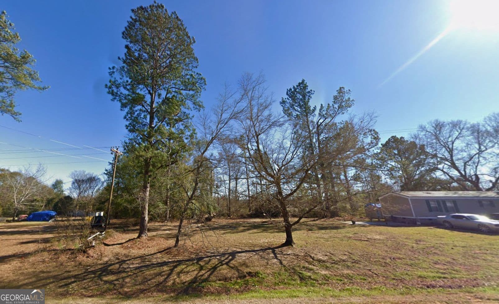 residential lot for sale at 1001 Highway 221, Bartow, GA 30413 — photo 9