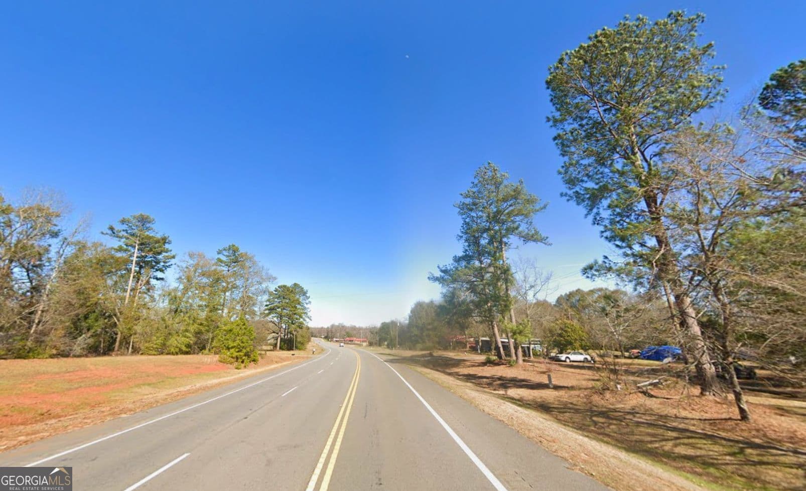 residential lot for sale at 1001 Highway 221, Bartow, GA 30413 — photo 10