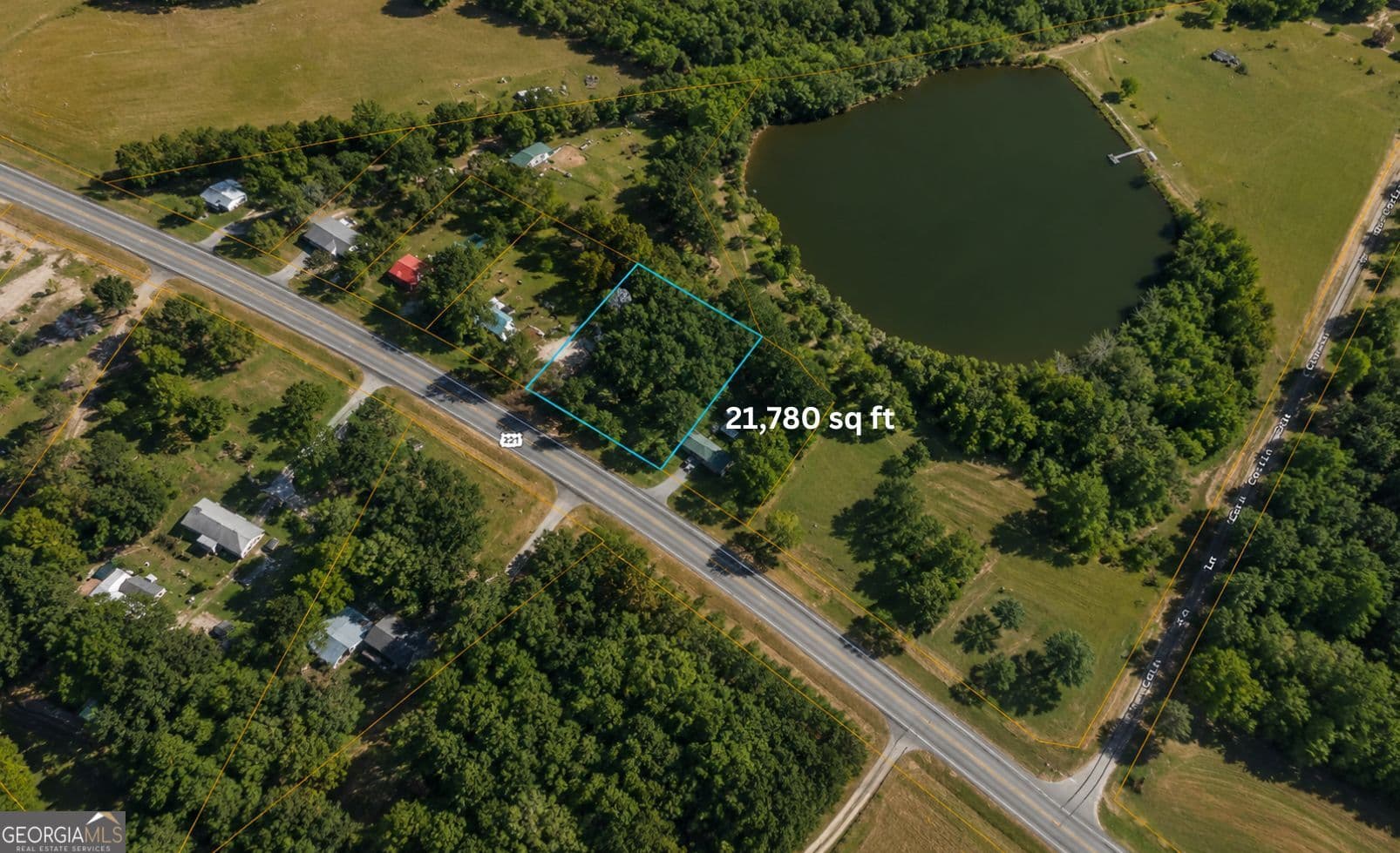 residential lot for sale at 1001 Highway 221, Bartow, GA 30413 — photo 4
