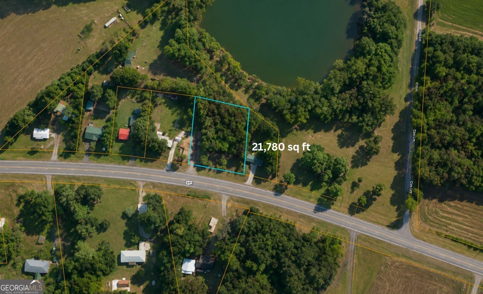 residential lot for sale at 1001 Highway 221, Bartow, GA 30413 — photo 8