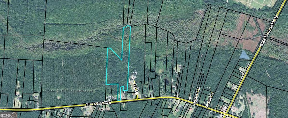 unimproved land for sale at 8434 EB Cooper Highway, Riceboro, GA 31323 — photo 2