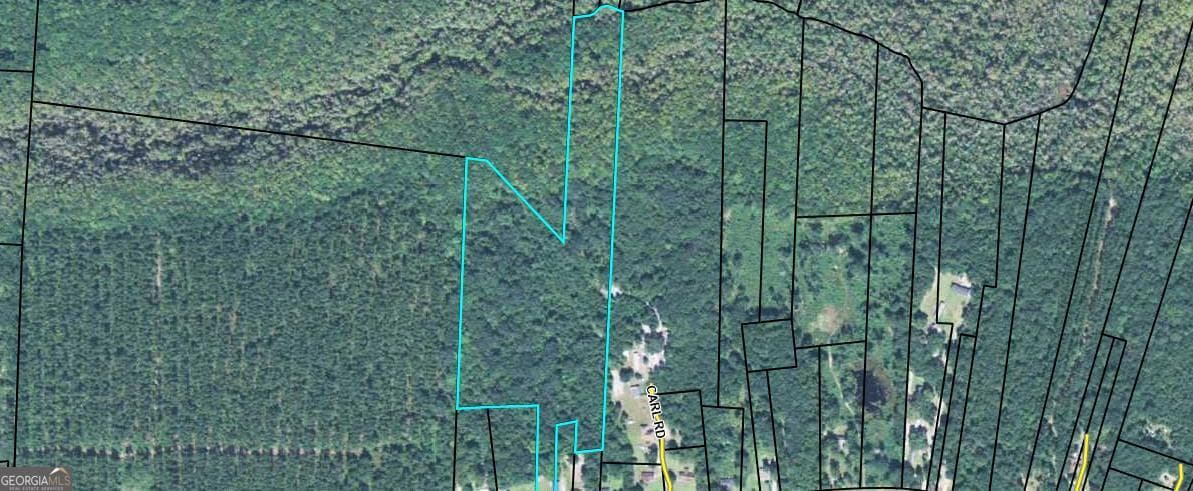 unimproved land for sale at 8434 EB Cooper Highway, Riceboro, GA 31323