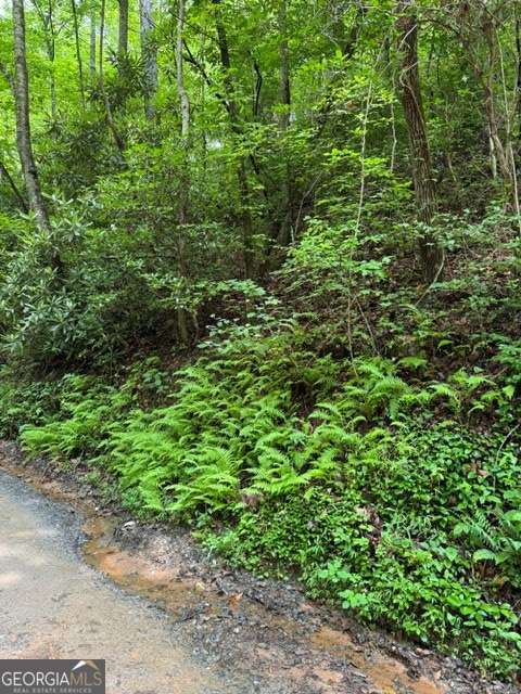 residential lot for sale at LOT 2 Kells Ridge, Ellijay, GA 30540 — photo 6