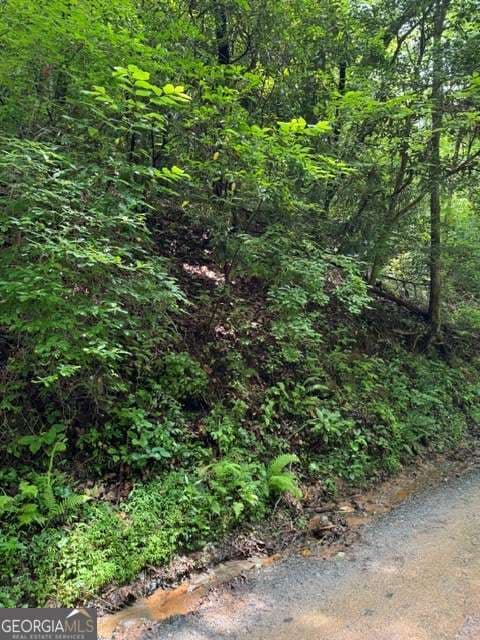 residential lot for sale at LOT 2 Kells Ridge, Ellijay, GA 30540 — photo 3