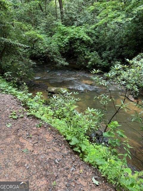 residential lot for sale at LOT 2 Kells Ridge, Ellijay, GA 30540 — photo 5