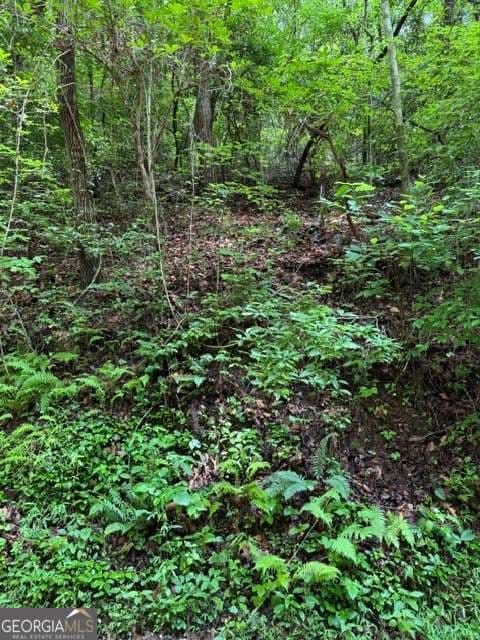 residential lot for sale at LOT 2 Kells Ridge, Ellijay, GA 30540 — photo 4